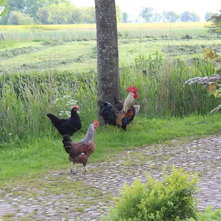 Nordsee-paradies Prázdninový dům Barlt