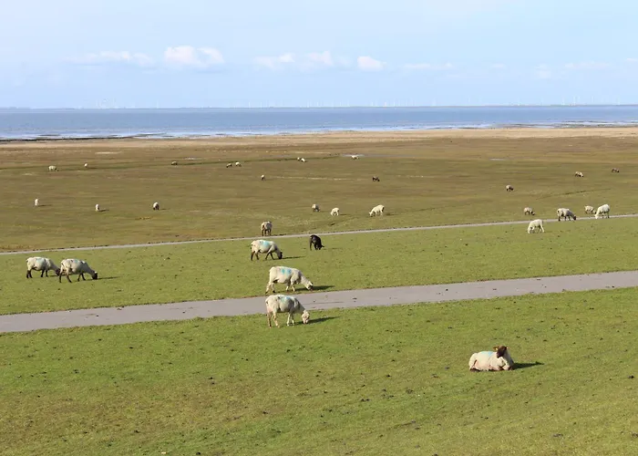 Nordsee-paradies Barlt