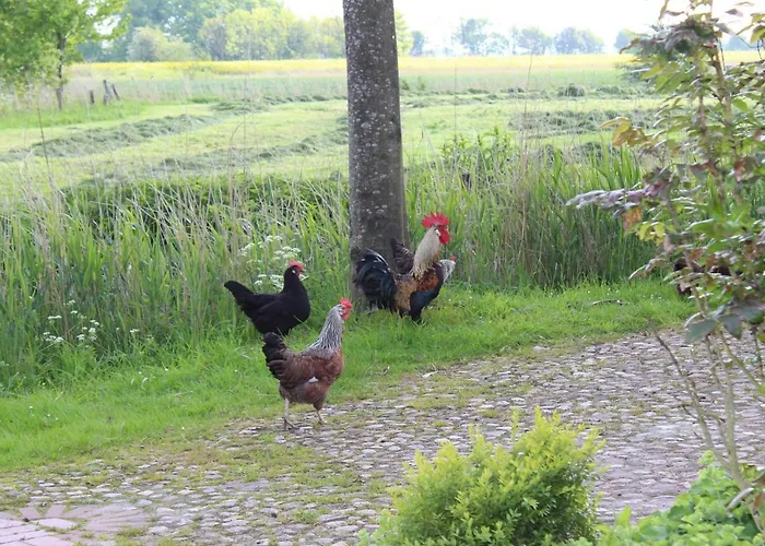 Nordsee-paradies Дом отдыха Barlt