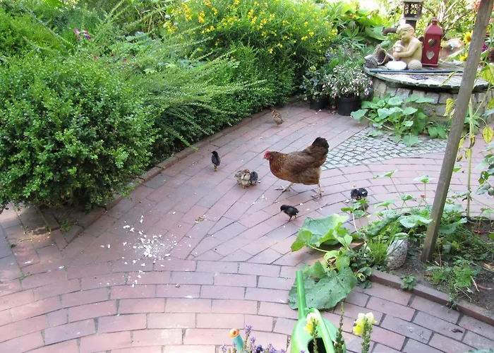 Дом отдыха Nordsee-paradies *